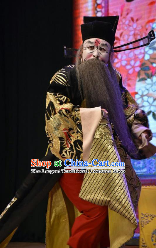 Huang Bi Gong Chinese Shanxi Opera Elderly Male Apparels Costumes and Headpieces Traditional Jin Opera Laosheng Garment Treacherous Official Clothing