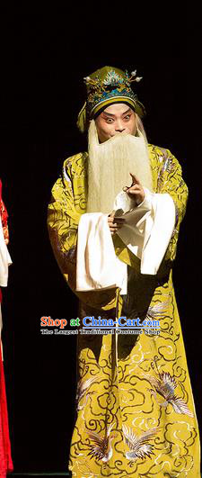 Yu Zhou Feng Chinese Hubei Hanchu Opera Minister Kuang Hong Apparels Costumes and Headpieces Traditional Han Opera Elderly Male Garment Laosheng Clothing
