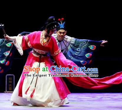 Chinese Han Opera Diva Garment Butterfly Dream Costumes and Headdress Traditional Hubei Hanchu Opera Young Woman Apparels Actress Red Dress