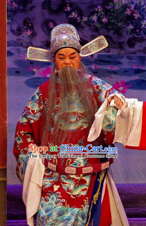 Qian Tang Su Xiaoxiao Chinese Guangdong Opera Laosheng Apparels Costumes and Headpieces Traditional Cantonese Opera Elderly Male Garment Official Ruan Shaoye Clothing