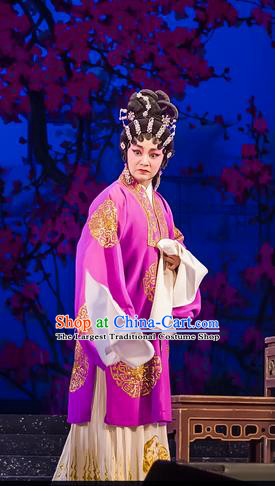 Chinese Cantonese Opera Rich Female Garment The Romance of Hairpin Costumes and Headdress Traditional Guangdong Opera Dame Apparels Landlord Shiva Dress