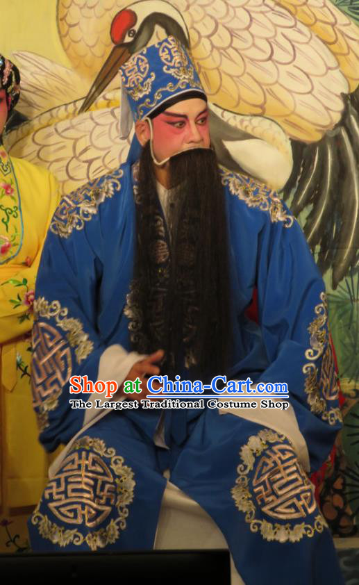 Hua Tian Ba Xi Chinese Guangdong Opera Landlord Liu Deming Apparels Costumes and Headpieces Traditional Cantonese Opera Laosheng Garment Clothing