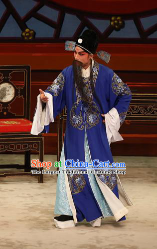 The Lotus Lantern Chinese Guangdong Opera Liu Yanchang Apparels Costumes and Headpieces Traditional Cantonese Opera Landlord Garment Elderly Male Clothing