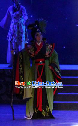 Chinese Cantonese Opera Witch Garment Qian Nv You Hun Costumes and Headdress Traditional Guangdong Opera Apparels Evil Woman Dress