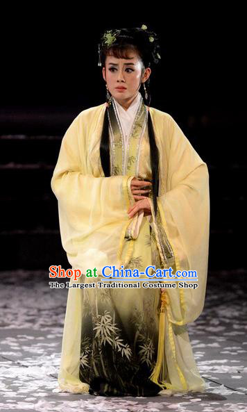 Chinese Historical Drama Phoenix Hairpin Ancient Young Mistress Garment Costumes Traditional Actress Dress Noble Woman Tang Wan Apparels and Headdress