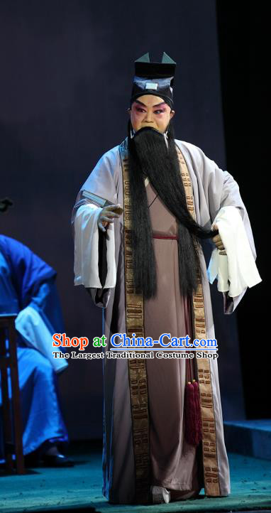 Cao Min Song Shijie Chinese Sichuan Opera Elderly Male Mao Peng Apparels Costumes and Headpieces Peking Opera Highlights Garment Old Man Clothing