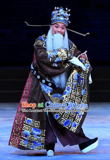 Xue Gang Fan Tang Chinese Bangzi Opera Minister Apparels Costumes and Headpieces Traditional Hebei Clapper Opera Official Xu Ce Garment Laosheng Clothing