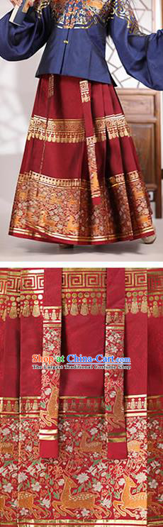 China Ancient Noble Lady Costumes Traditional Ming Dynasty Young Mistress Historical Clothing