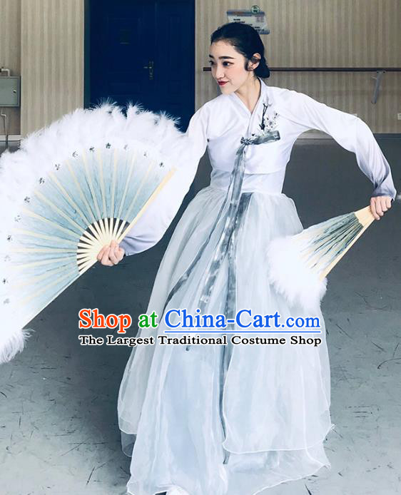 Chinese Classical Dance Clothing Traditional Korean Nationality Dance White Blouse and Dress Complete Set