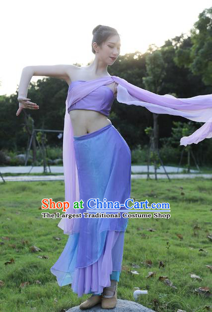 China Traditional Ethnic Stage Performance Peacock Dance Clothing Dai Nationality Dance Lilac Dress Outfits