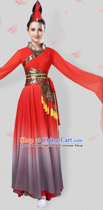 China Traditional Fan Dance Group Dance Water Sleeve Red Dress New Year Classical Dance Costume