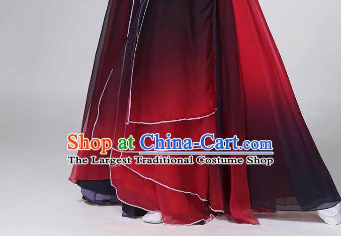 China Traditional Dance Group Dance Water Sleeve Costume Classical Dance Stage Show Dress