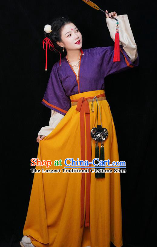 China Traditional Tang Dynasty Maid Lady Historical Clothing Ancient Servant Girl Hanfu Dress