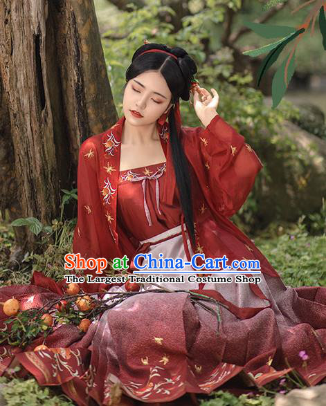 China Ancient Country Woman Embroidered Hanfu Dress Traditional Song Dynasty Young Lady Historical Clothing Complete Set