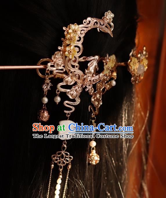 China Classical Hanfu Hair Accessories Traditional Ming Dynasty Princess Hair Crown and Hairpin