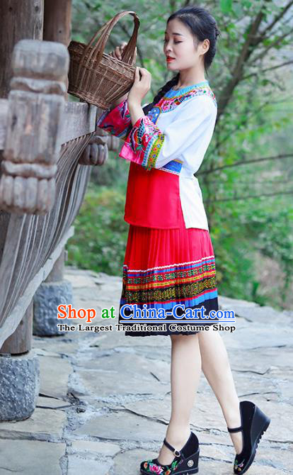 Chinese Miao Nationality Young Lady Clothing Hmong Ethnic Folk Dance Costumes