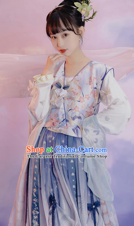 China Ancient Young Beauty Hanfu Dress Clothing Traditional Tang Dynasty Palace Lady Replica Costumes