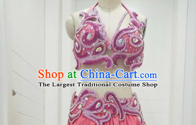 Asian Oriental Dance Performance Bra and Skirt Clothing Indian Traditional Belly Dance Competition Pink Outfits