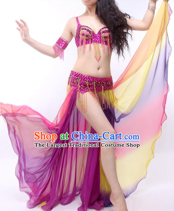 Asian Indian Belly Dance Stage Performance Clothing Traditional India Raks Sharki Purple Outfits