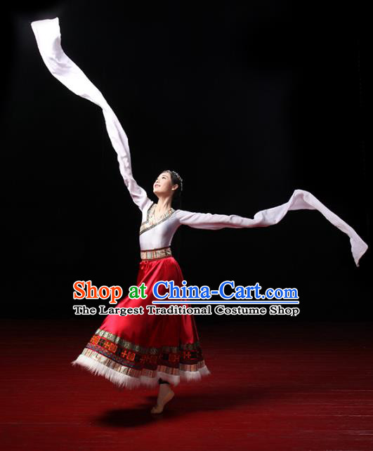 China Traditional Zang Ethnic Dance Clothing Tibetan Nationality Stage Performance Dress Outfits