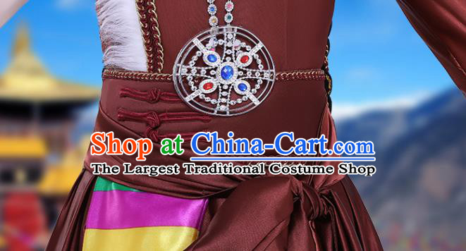 Chinese Traditional Zang Nationality Folk Dance Clothing Xizang Tibetan Ethnic Performance Brown Dress