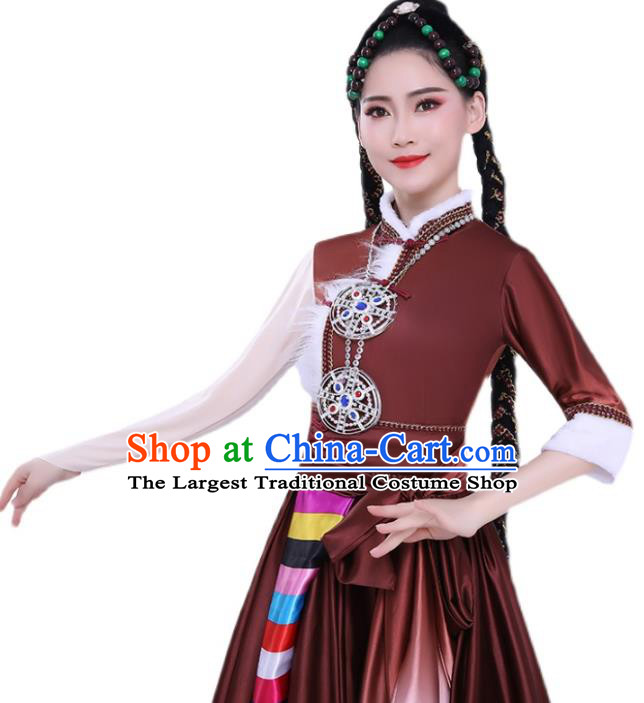 Chinese Traditional Zang Nationality Folk Dance Clothing Xizang Tibetan Ethnic Performance Brown Dress
