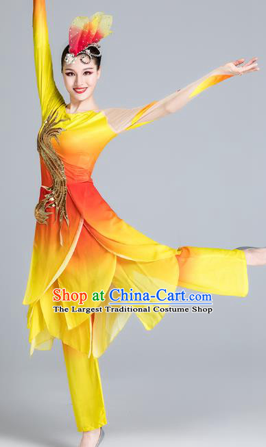 China Yangko Dance Yellow Outfits Stage Performance Costume Folk Dance Clothing