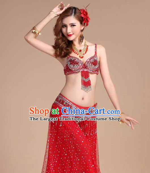 India Belly Dance Performance Clothing Indian Oriental Dance Uniforms Asian Traditional Raks Sharki Red Bra and Skirt