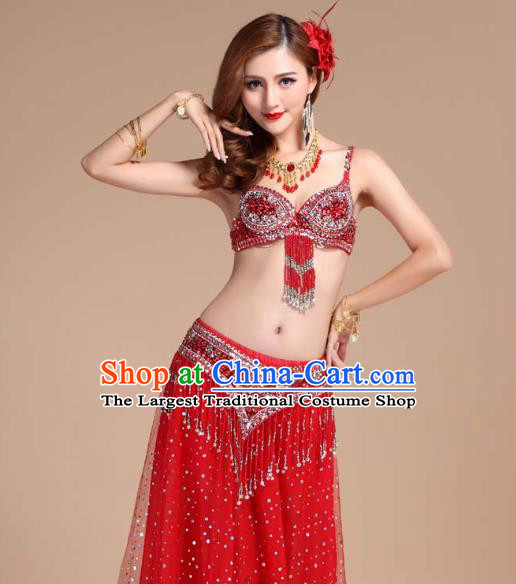 India Belly Dance Performance Clothing Indian Oriental Dance Uniforms Asian Traditional Raks Sharki Red Bra and Skirt