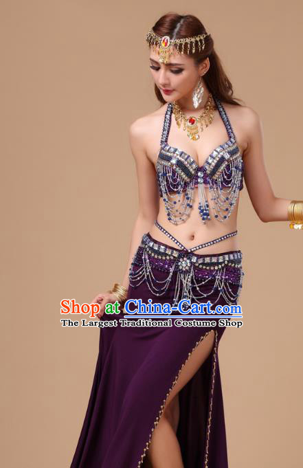 Top Asian Indian Stage Performance Purple Uniforms Belly Dance Clothing Traditional Oriental Dance Bra and Skirt