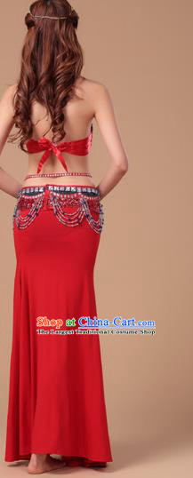 Top Traditional Oriental Dance Bra and Skirt Asian Indian Stage Performance Red Uniforms Belly Dance Clothing