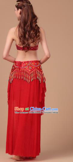 Asian Belly Dance Red Uniforms Traditional Oriental Beauty Dance Bra and Skirt Indian Stage Performance Costumes