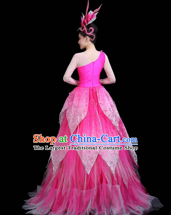China Spring Festival Gala Opening Dance Rosy Dress Modern Dance Clothing Flower Fairy Dance Costume