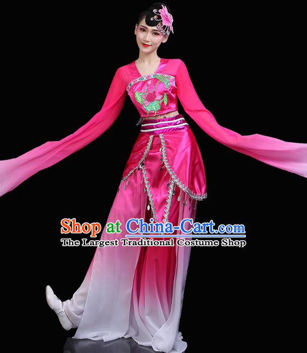 Chinese Water Sleeve Dance Rosy Dress Traditional Woman Group Dance Costume Classical Dance Clothing