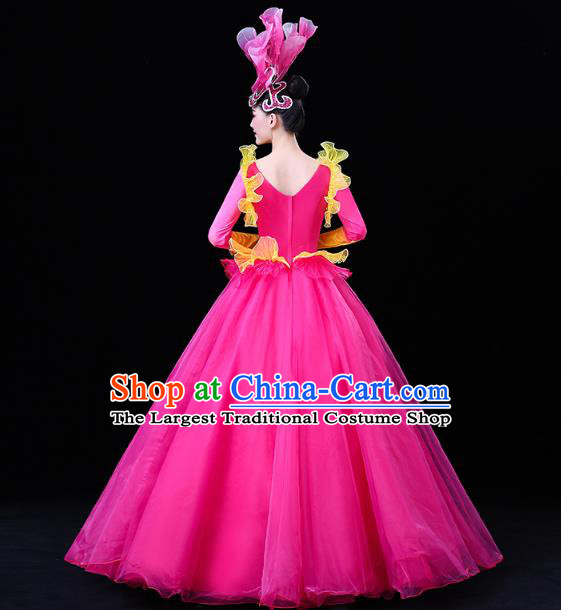 China Modern Dance Flower Dance Clothing Spring Festival Gala Opening Dance Rosy Veil Dress