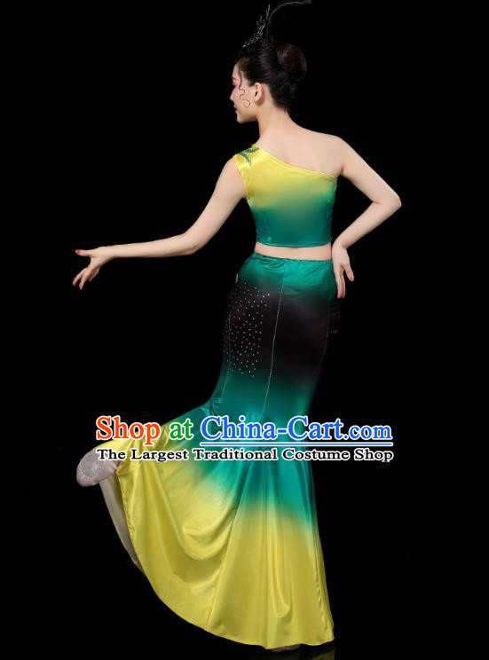 Chinese Yunnan Ethnic Stage Performance Green Dress Traditional Dai Nationality Peacock Dance Costumes