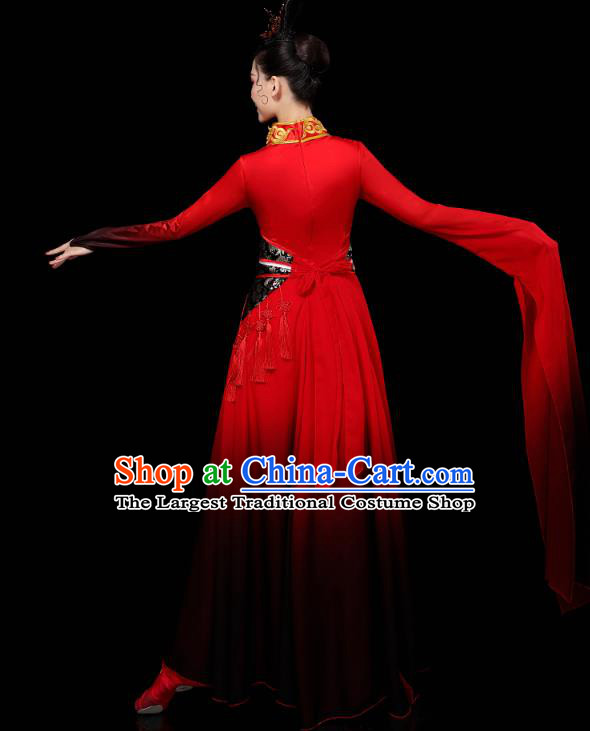 Chinese Water Sleeve Dance Clothing Classical Dance Red Dress Traditional Goddess Dance Performance Costume