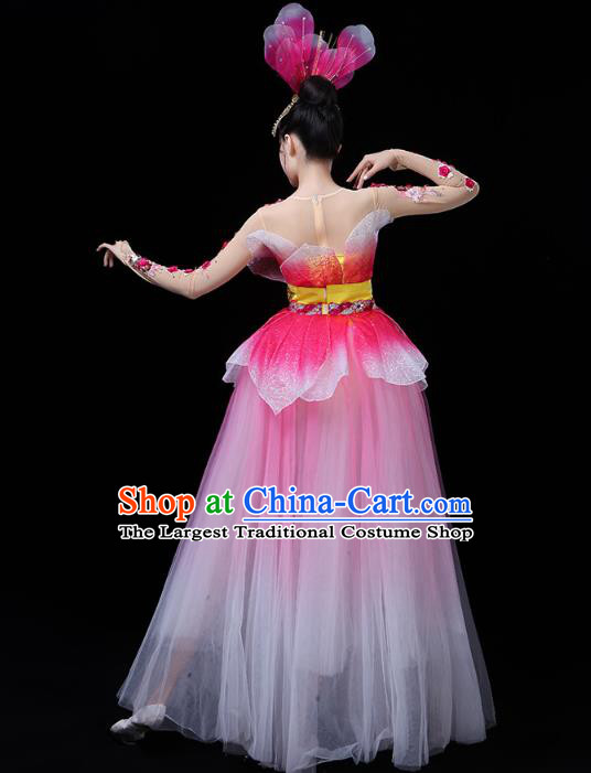 Chinese Modern Dance Peony Dance Pink Dress Traditional Opening Dance Performance Costume