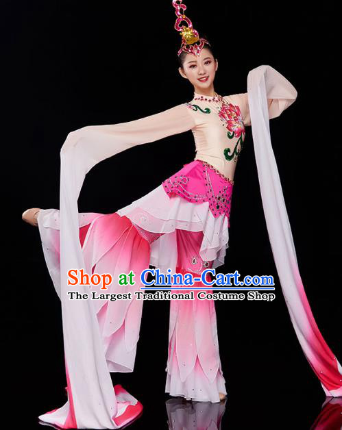China Court Jing Hong Dance Clothing Classical Dance Dress Traditional Woman Water Sleeve Dance Costume