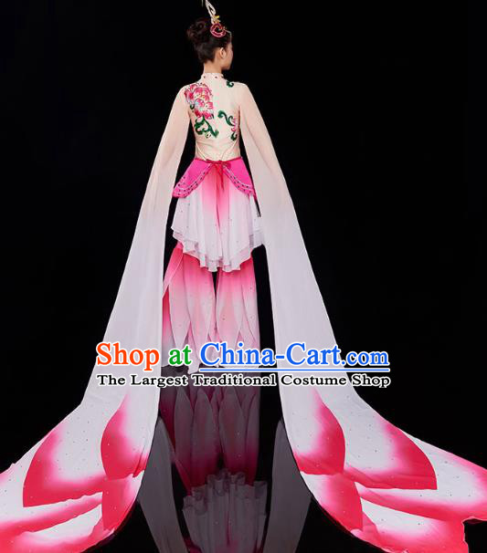 China Court Jing Hong Dance Clothing Classical Dance Dress Traditional Woman Water Sleeve Dance Costume