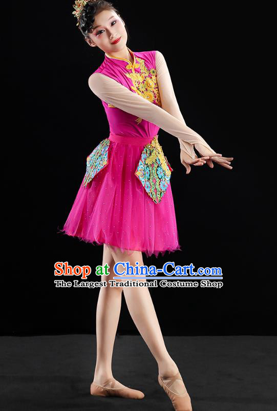 China Modern Dance Clothing Jazz Dance Rosy Dress Spring Festival Gala Performance Outfits