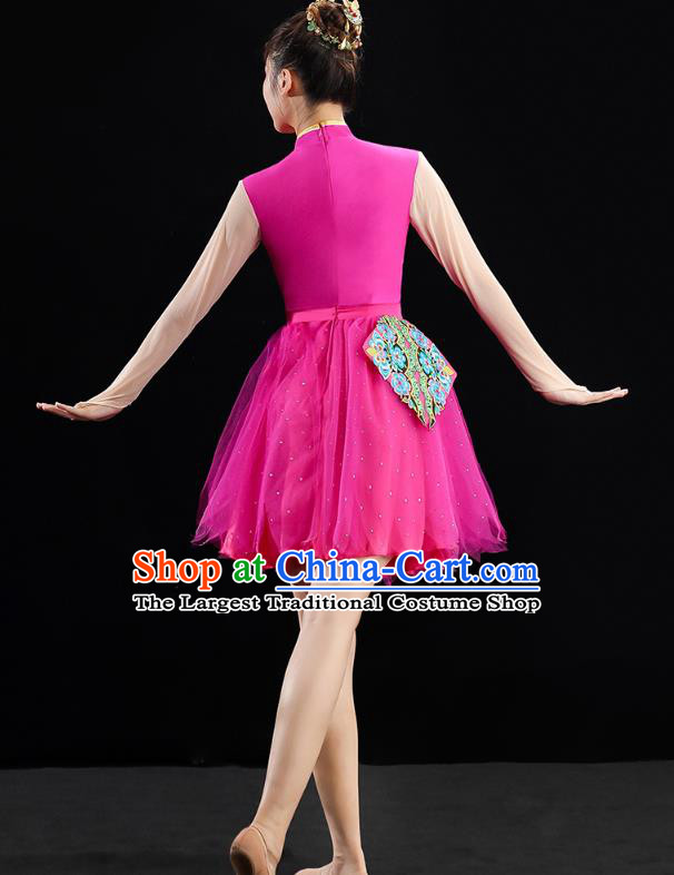 China Modern Dance Clothing Jazz Dance Rosy Dress Spring Festival Gala Performance Outfits