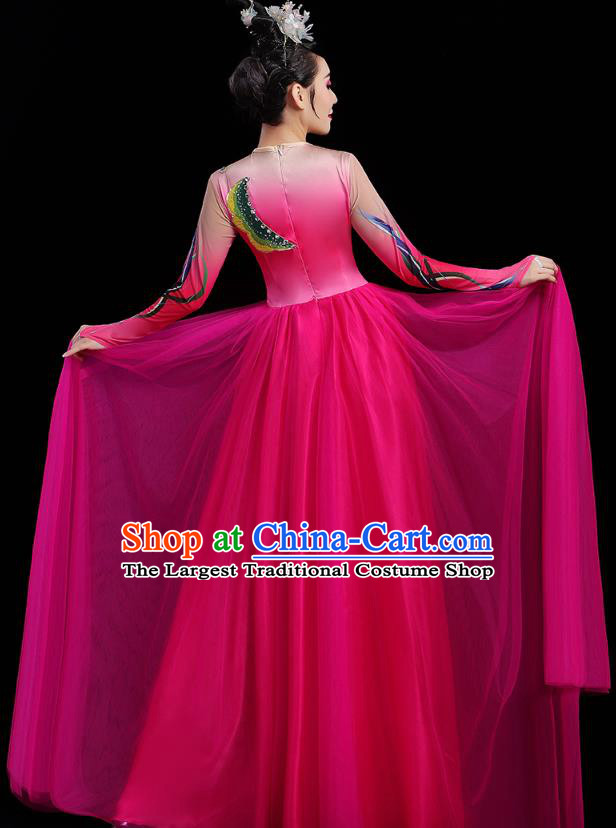 China Modern Dance Clothing Stage Performance Rosy Veil Dress Spring Festival Gala Opening Dance Costume
