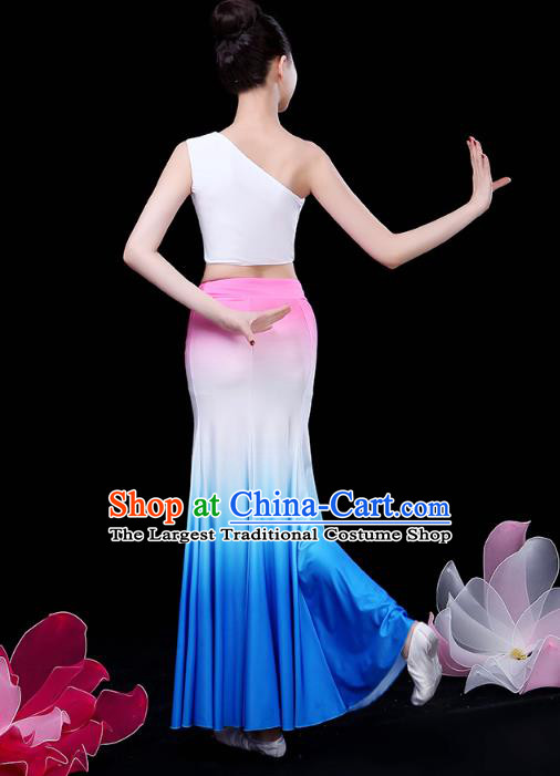 Chinese Yunnan Ethnic Peacock Dance Costume Traditional Dai Minority Nationality Stage Performance Dress Outfits