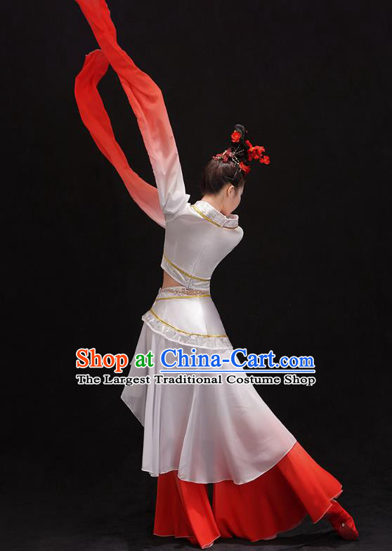 Chinese Umbrella Dance Outfits Classical Dance Performance Clothing Traditional Water Sleeve Cai Wei Dance Dress