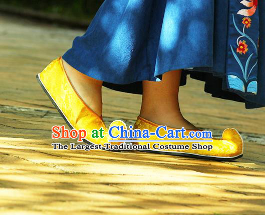Chinese Classical Dragons Pattern Shoes Hand Golden Brocade Shoes Traditional Ancient Empress Shoes