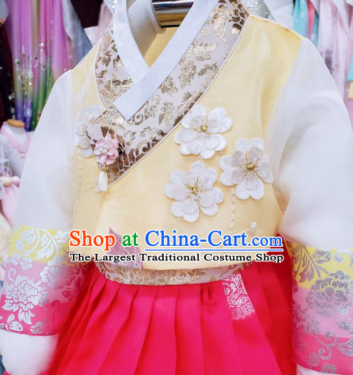 Korean Traditional Children Garments Fashion Stage Hanbok Clothing Asian Korea Girl Yellow Blouse and Rosy Dress