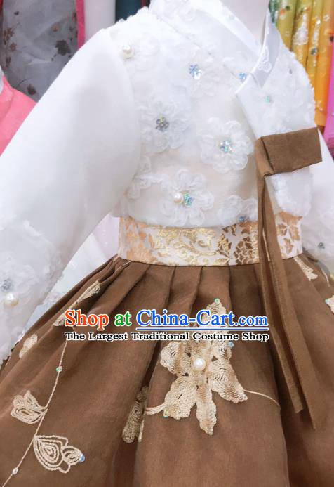 Asian Korea Traditional Festival Hanbok Clothing Girl White Blouse and Brown Dress Korean Children Garments Fashion