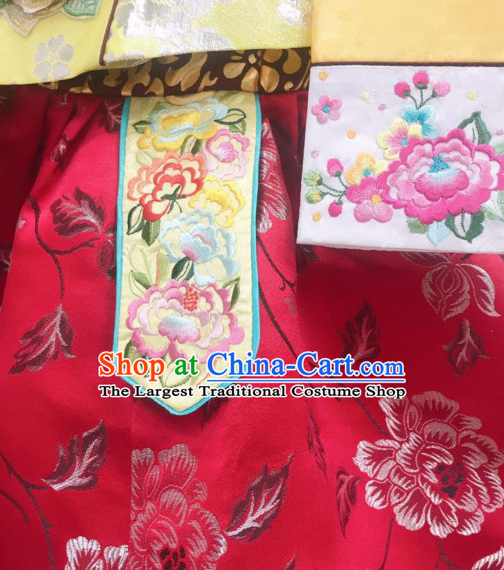 Asian Korean Children Princess Birthday Hanbok Clothing Girl Yellow Blouse and Red Dress Korea Traditional Garments Fashion