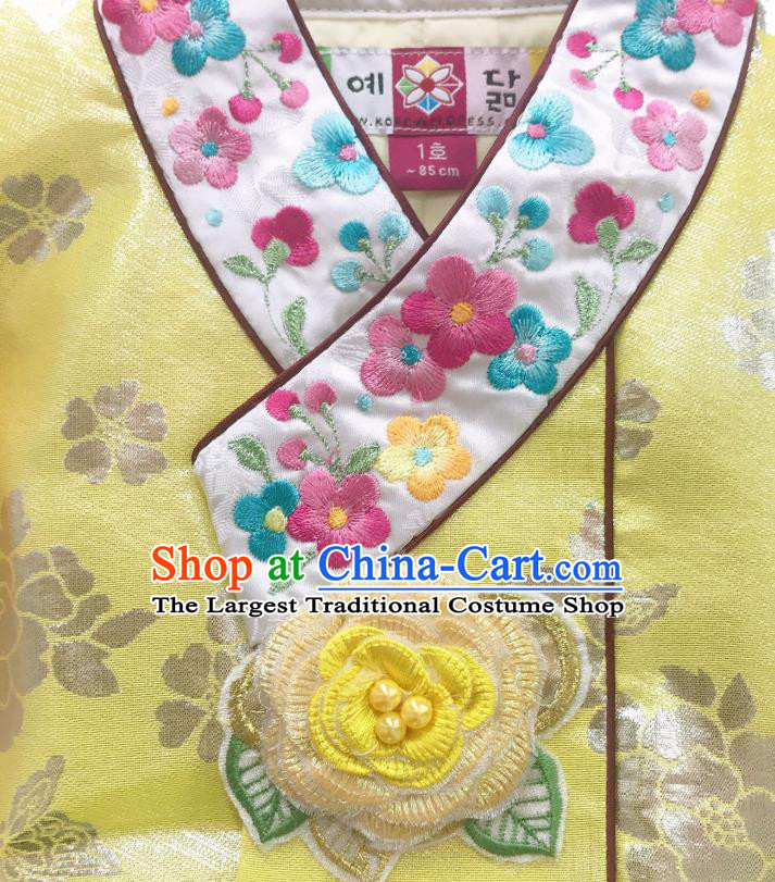 Asian Korean Children Princess Birthday Hanbok Clothing Girl Yellow Blouse and Red Dress Korea Traditional Garments Fashion